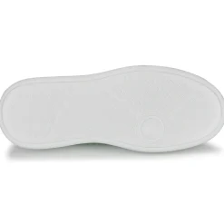 Dorking - SWIFT Blanc Sale