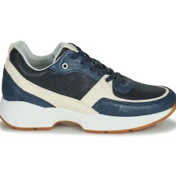 Dream in Green - AGAPANTHE Multico-bleu Clearance