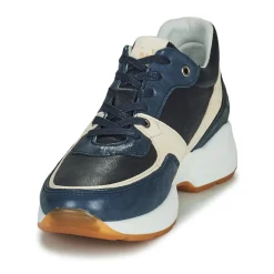 Dream in Green - AGAPANTHE Multico-bleu Clearance