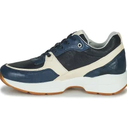 Dream in Green - AGAPANTHE Multico-bleu Clearance