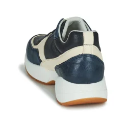 Dream in Green - AGAPANTHE Multico-bleu Clearance