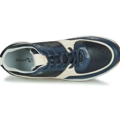 Dream in Green - AGAPANTHE Multico-bleu Clearance