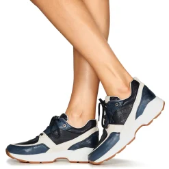 Dream in Green - AGAPANTHE Multico-bleu Clearance