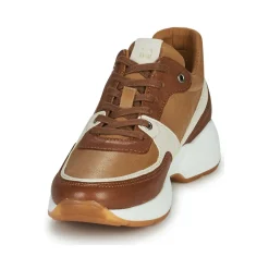 Dream in Green - AGAPANTHE Multico-beige Sale