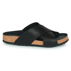 Dream in Green - AGAVE Noir Discount