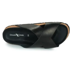 Dream in Green - AGAVE Noir Discount