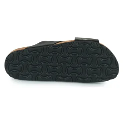 Dream in Green - AGAVE Noir Discount