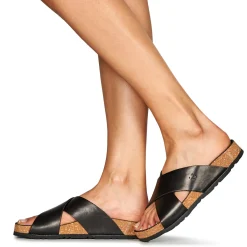 Dream in Green - AGAVE Noir Discount