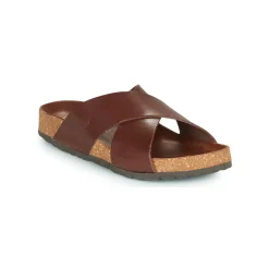 Dream in Green - AGAVE Marron Sale