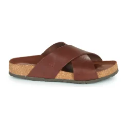 Dream in Green - AGAVE Marron Sale