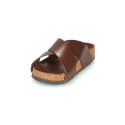 Dream in Green - AGAVE Marron Sale