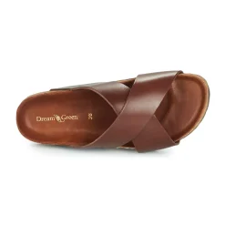 Dream in Green - AGAVE Marron Sale