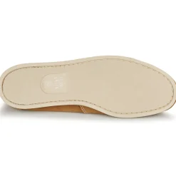 Dream in Green - ANTERO