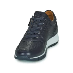 Dream in Green - ARTEMISIA Bleu Best