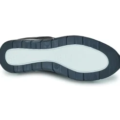 Dream in Green - ARTEMISIA Bleu Best