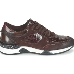 Dream in Green - FARRICA Bordeaux Outlet