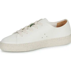 Clearance Dream in Green - JOBI Beige