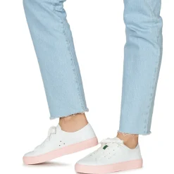 Dream in Green - JOBI