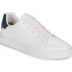 Dream in Green - JOBIO Hot