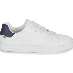 Dream in Green - JOBIO Hot