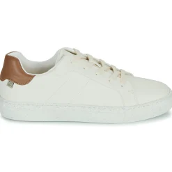 Dream in Green - JOBIO