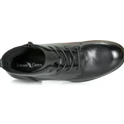 Hot Dream in Green - LAMPEDI Noir