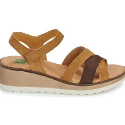 Online Dream in Green - LISA marine