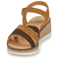 Online Dream in Green - LISA marine