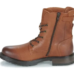 Dream in Green - NELATINE Cognac