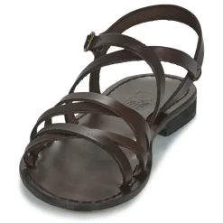 Dream in Green - OBALINE Marron Best