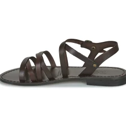 Dream in Green - OBALINE Marron Best