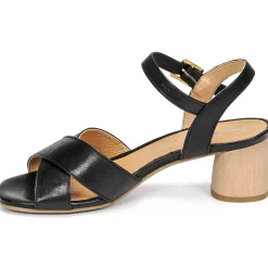 Discount Dream in Green - ODAINE Noir