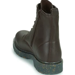 Dream in Green - PARBOL