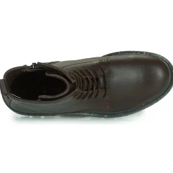 Dream in Green - PARBOL