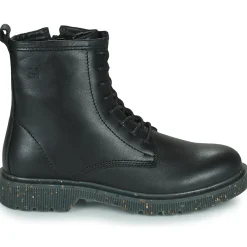 Dream in Green - PARBOL