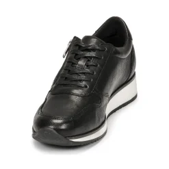 Dream in Green - PORTOVECCHIO Noir