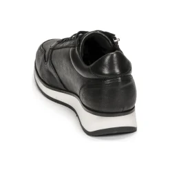 Dream in Green - PORTOVECCHIO Noir