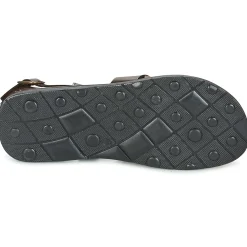 Dream in Green - QUESELLE