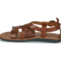 Discount Dream in Green - QUESELLE Camel