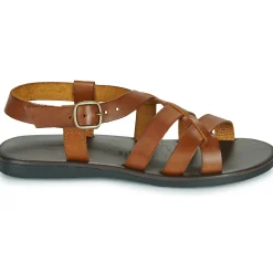 Dream in Green - QUESELLI Cognac