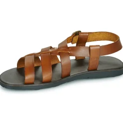 Dream in Green - QUESELLI Cognac