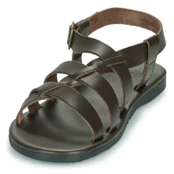 Dream in Green - QUESELLI