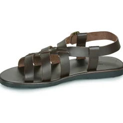 Dream in Green - QUESELLI