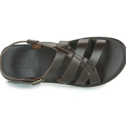 Dream in Green - QUESELLI