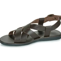 Dream in Green - QUESELLO