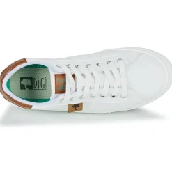 Dream in Green - SORPHIE Blanc