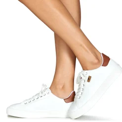 Dream in Green - SORPHIE Blanc