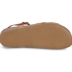 New Dream in Green - TSILIA Camel