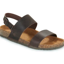 Discount Dream in Green - WEINI marron