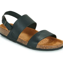 Dream in Green - WEINI